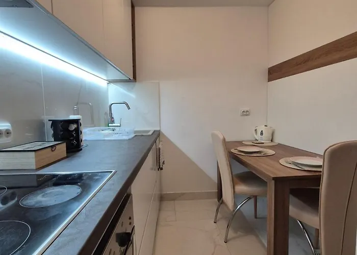 Vuk ノヴィ・サド